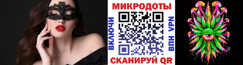 Галлюциногенные грибы Psilocybine cubensis  Купить где  Аргун 